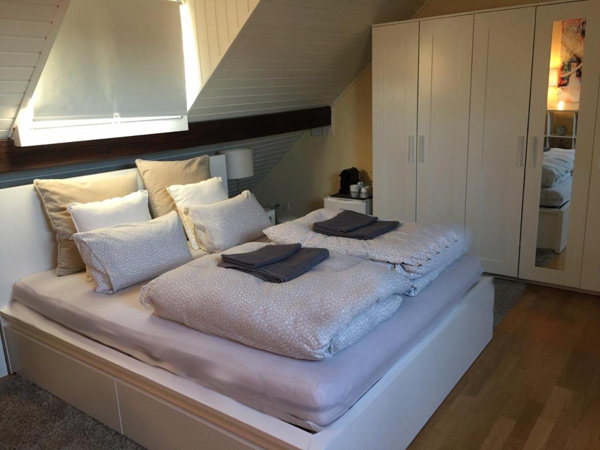 Cozy Attica - With Every Comfort - Berne Διαμέρισμα Liebefeld Εξωτερικό φωτογραφία