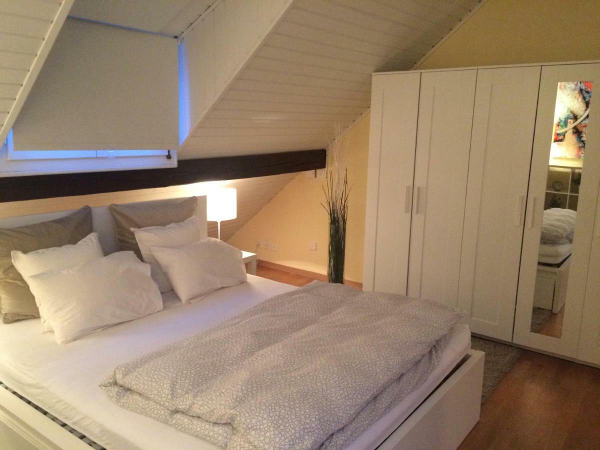 Cozy Attica - With Every Comfort - Berne Διαμέρισμα Liebefeld Εξωτερικό φωτογραφία