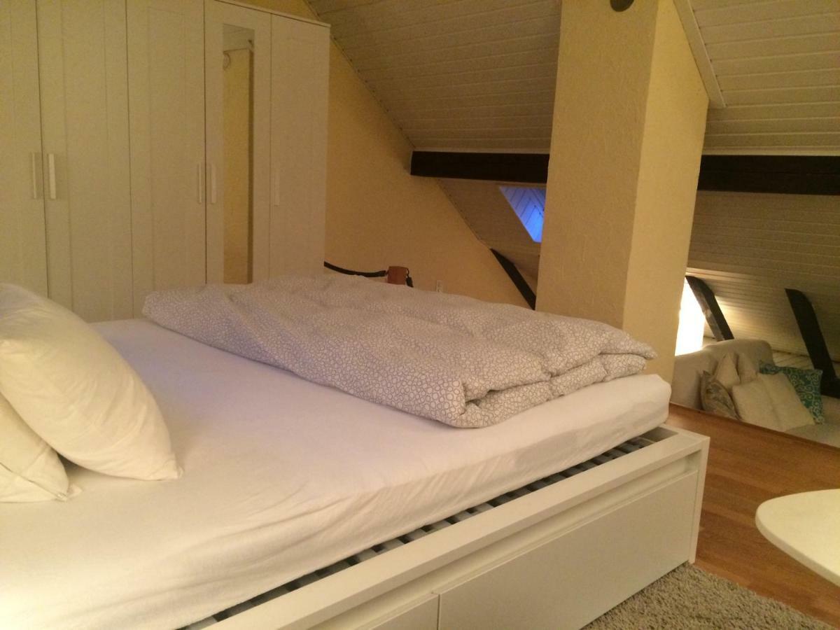 Cozy Attica - With Every Comfort - Berne Διαμέρισμα Liebefeld Εξωτερικό φωτογραφία